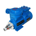 Magnetically coupled drive gear Pump for Chemical industrial